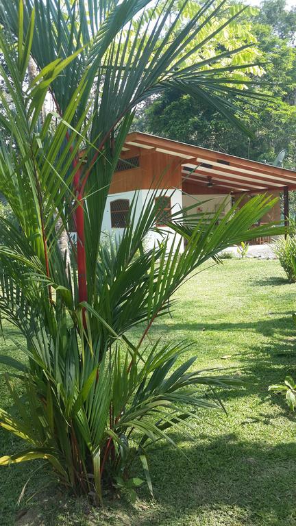 Los Delfines Lodge Puerto Viejo de Talamanca Rum bild